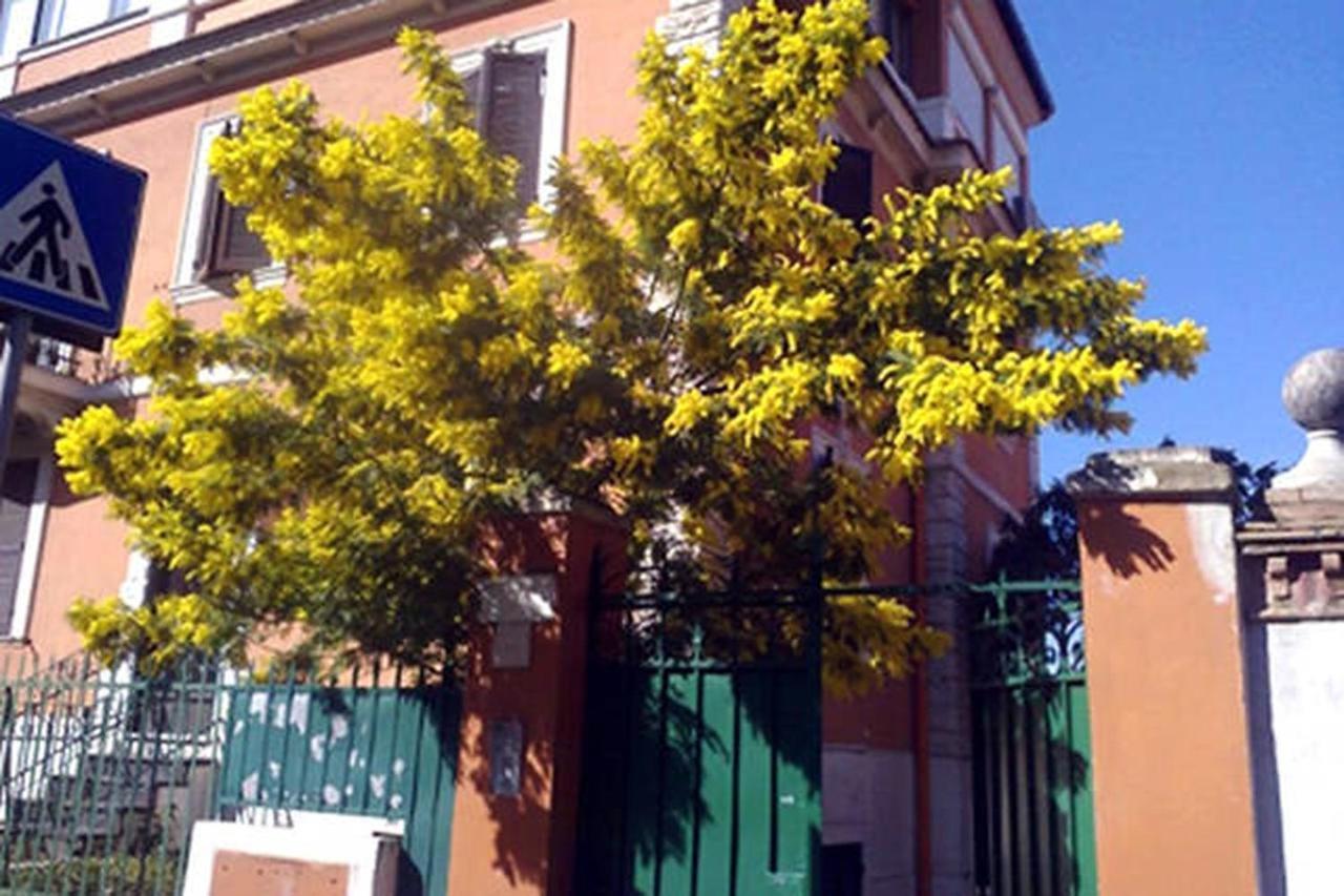 Garden Flat By Vatican Walls Roma Esterno foto